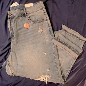 NWT Lane Bryant High-Rise Signature Fit Girlfriend Straight Jeans